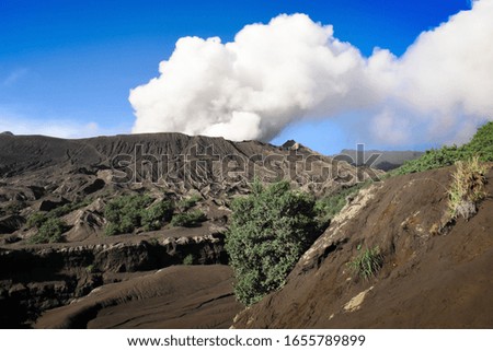 BROMO, JAVA, INDONESIA : 04/17/2019: Picture of an area covered with volcanic ash in the time of actived Bromo Crater at Bromo Tengger Semeru National Park