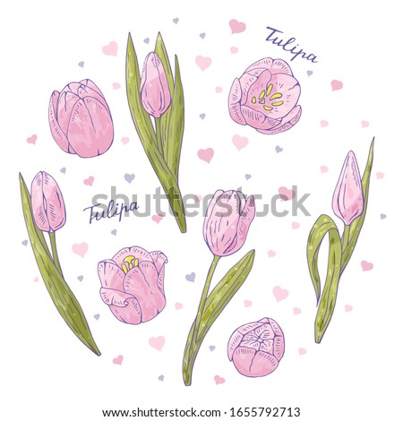 Circular vector composition of pink tulip flowers with hearts. Romantic style for seasonal design. For various design and printing.