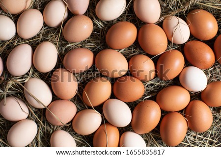Easter background with many chicken eggs on hay Royalty-Free Stock Photo #1655835817