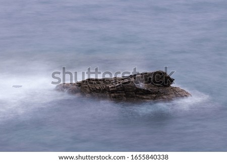 blurred sea surface with big stone long exposure image focused on stone