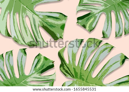 Tropical leaves Monstera on pink background. Flat lay, top view