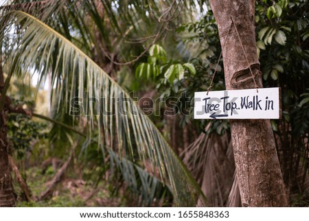sign in the jungle with the inscription -tree top walk in
