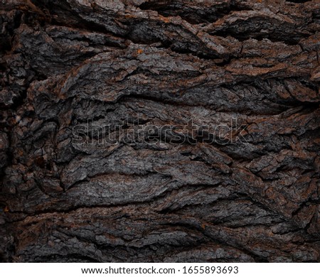 Old and winding tree bark shape .