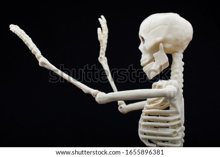 Human skeleton model  for medical anatomy science Medical clinic concept. Royalty-Free Stock Photo #1655896381