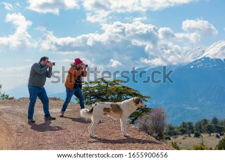 The photographers and the dog taking pictures in Turkey