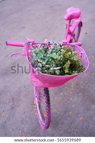 A pink coloured old, retro, vintage bicycle with a basket of flowers standing in the street.