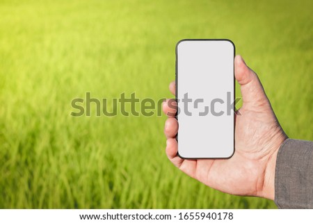 business man use smart phone in farm, technology with Internet of things, futuristic agriculture concept,  hand clipping path