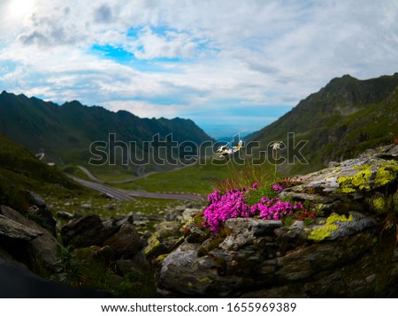 Crossing Carpathian mountains in Romania, Transfagarasan is one of the most spectacular mountain roads in the world Royalty-Free Stock Photo #1655969389
