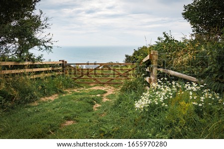 Green fields on a hill with the sea English Channel and English countryside in the background. Golden Cap on jurassic coast in Dorset, UK. Photo with selective focus. Bright summer holidays photo. Royalty-Free Stock Photo #1655970280