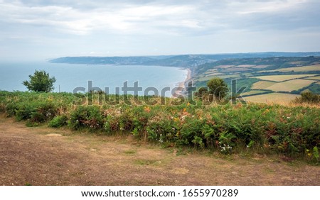 Green fields on a hill with the sea English Channel and English countryside in the background. Golden Cap on jurassic coast in Dorset, UK. Photo with selective focus. Bright summer holidays photo.