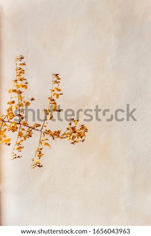 Minimalistic background with branch and yellow leaves