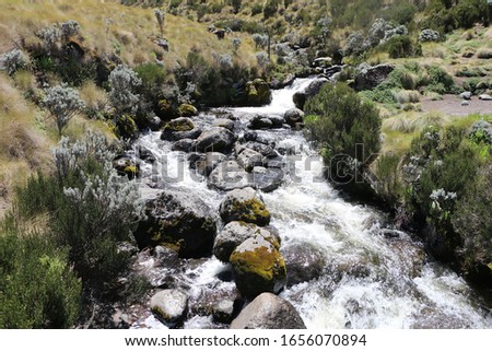A beautiful river through the jungle on the slopes of mt.Kenya