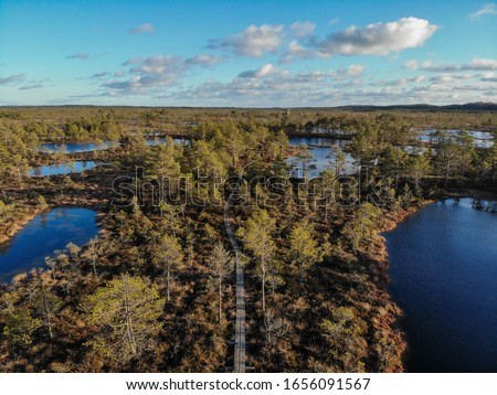 Drone areal pictures of Kõnnu Suursoo swamp in the early spring 2020.(24.02.2020 - Estonia)