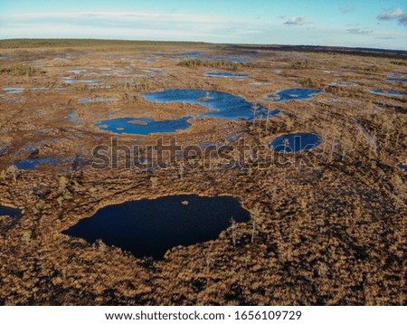 
Drone areal pictures of Kõnnu Suursoo swamp in the early spring 2020.(24.02.2020 - Estonia)