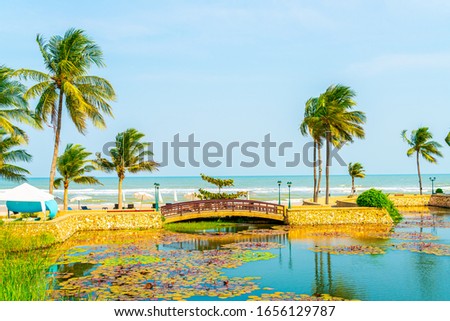 bridge with coconut palm tree and sea beach and blue sky background