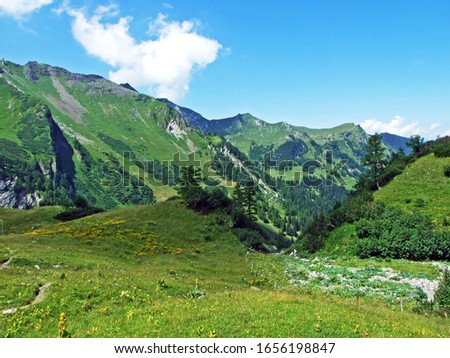 View of the picturesque peaks of the Liechtenstein Alps mountain massif from the Naaftal alpine valley - Steg, Liechtenstein
