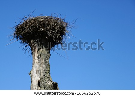 An empty stork nest against a blue sky awaiting the arrival of storks in spring