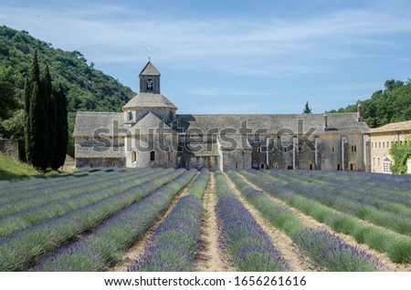 French villa with lavender fields