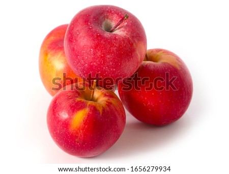 a bunch of ripe fresh apples as an element of the agricultural crop
