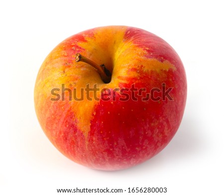 beautiful ripe red apple as an element of the autumn harvest