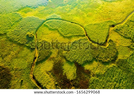 Marvelous view of winding river in green field. Lush wetlands of bird's eye view. Location place of Ukraine countryside, Europe. Textural image of drone photography. Discover the beauty of earth.