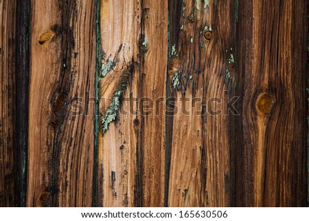 Texture of the old woden Door to an abandoned farm house in the Tankwa Karoo of South Africa
