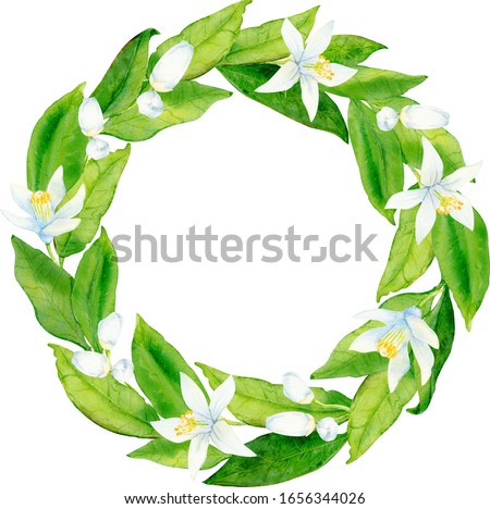 watercolor wreath of green leaves with white buds and flowers