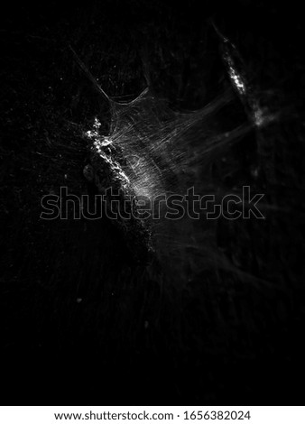 Blurry Black and White of Unfocused Picture Dark Black Spider Web Background. So Contrast and Grainy. Blurry Background.