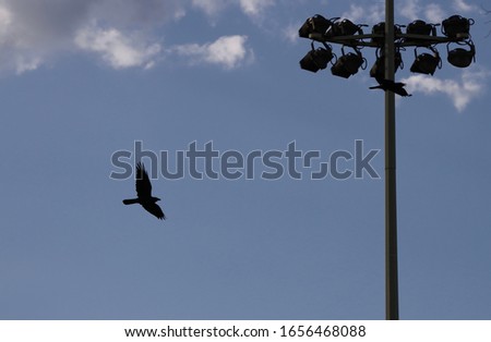 A black Crow flying over near flood lights with blue skies and white clouds as the background