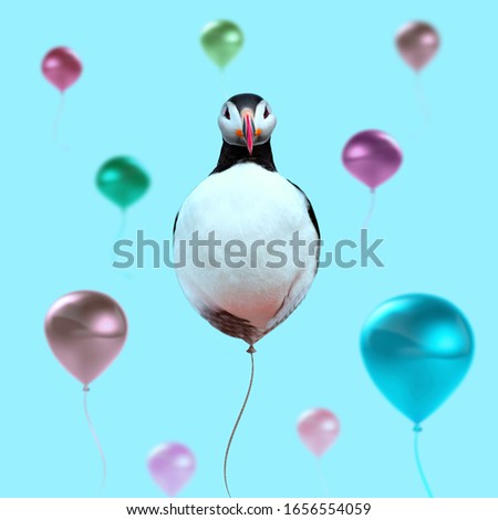  Contemporary art collage. Concept penguin balloon on blue background.