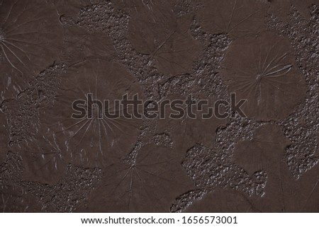 Abstract background with tropical plants shapes. Skeletones of leaves imprint on concrete floor as decoration Concrete floor.