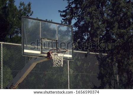 close up of a basketball hoop on a street court by the trees