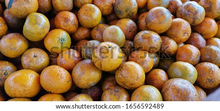 Golden yellow, round fruit, many heights, rough skin, black (orange), orange from Fang District, Chiang Mai Province