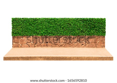Isolated of Shrubs trimmed green tree wall fence with bricks planter on white background.Beautiful tree from suitable use for environment decoration in architectural design adjacent to the sidewalk.