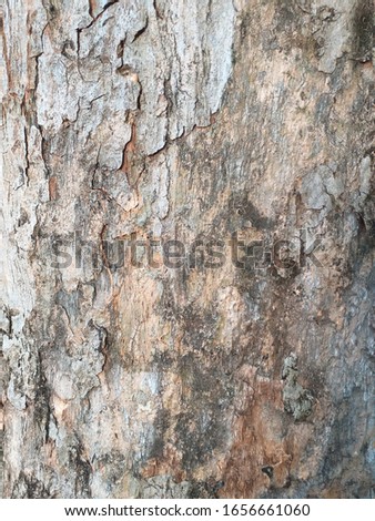 the photo that show dark brown color tree bark a natural background