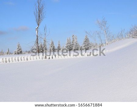 countryside, winter landscape by day
