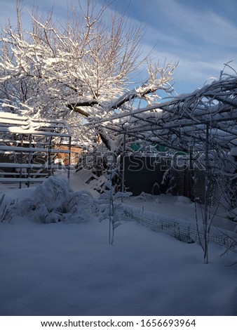 On a Sunny day, against a blue sky with light Cirrus-layered clouds, trees, shrubs, summer buildings and land covered with white fluffy snow. 