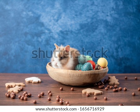 Easter bunny in basket with colorful eggs, candies and tulips on wooden table. Easter holiday decorations , Easter concept background.