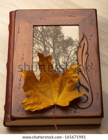 Close up of an album and Autumn leaves.