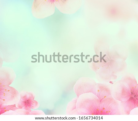 rectangular Japanese Spring Sakura cherry blossoms 336x280 size website square banner background. 3D Illustration Clip-Art with Floral spring petal design header. copy space in pink, white and green