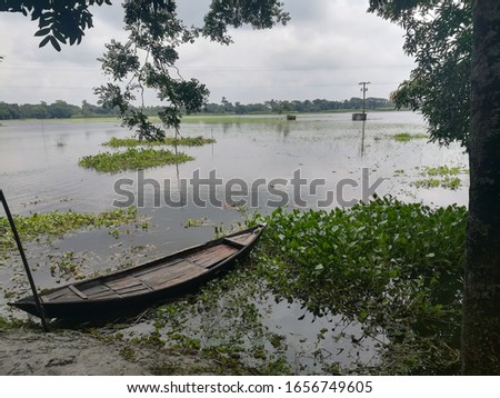 This is a picture of nature in Bangladesh during the Flood.