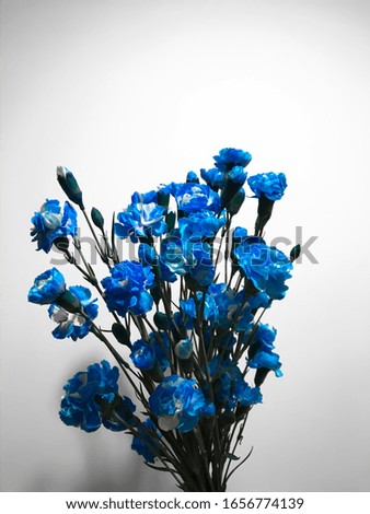 Bouquet of blue flowers on a white background.