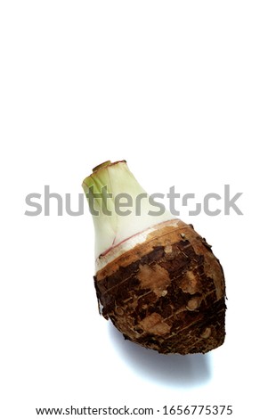 Close-Up fresh Taro isolated on white background, clipping path