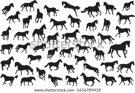 Adult race horses silhouettes big set. Basis clip art on white background