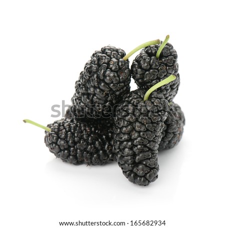 Mulberry Isolated on white background 