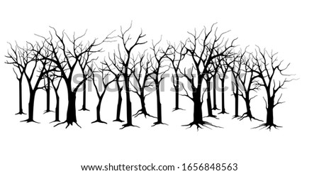 illustration of a barren and arid forest. molt trees vector isolated.