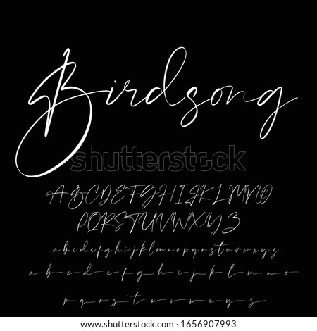 Best Alphabet Birdsong Amazing Script Signature Logotype Font lettering handwritten Royalty-Free Stock Photo #1656907993