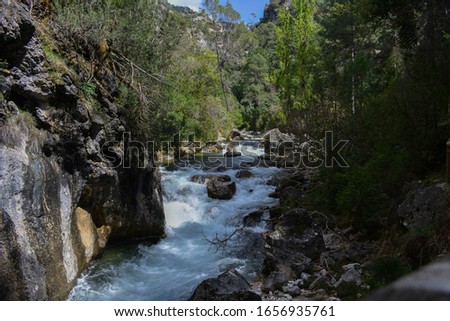photography of the borosa river between rocks and trees