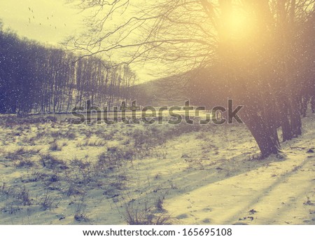 Vintage photo of cozy winter scene