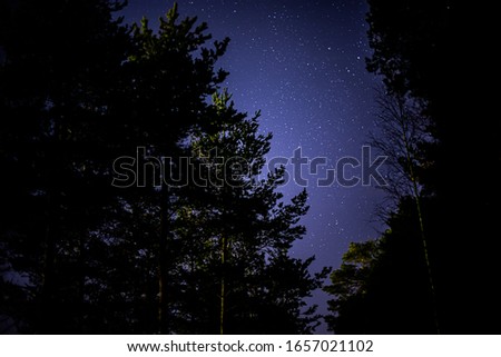 Night sky full of bright stars with a view of a forest